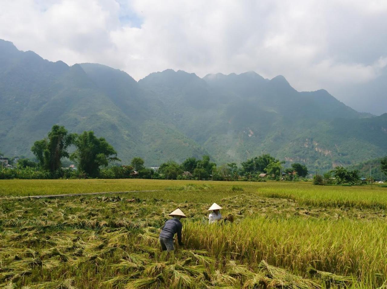 Mai Chau Countryside Homestay Bagian luar foto